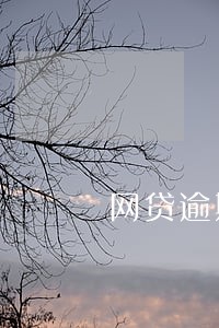 网贷逾期开的公司会封吗