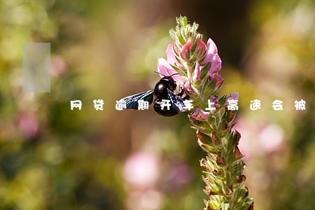 网贷逾期开车上高速会被扣吗 网贷逾期开车上高速会被扣吗