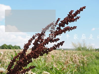 网贷逾期开车家庭走访 网贷逾期开车家庭走访