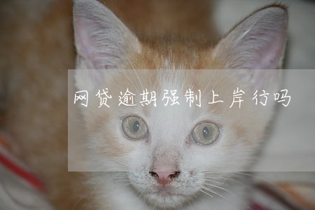 网贷逾期强制上岸行吗 网贷逾期强制上岸行吗