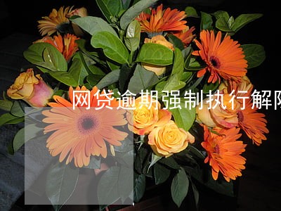 网贷逾期强制执行解除 网贷逾期强制执行解除