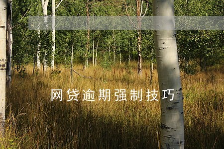 网贷逾期强制技巧