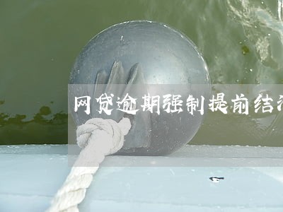 网贷逾期强制提前结清