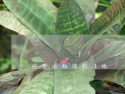 网贷逾期强制清缴 网贷逾期强制清缴