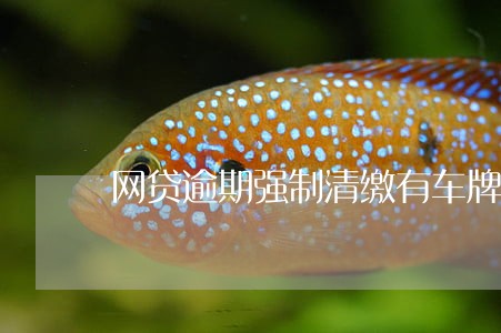 网贷逾期强制清缴有车牌号 网贷逾期强制清缴有车牌号