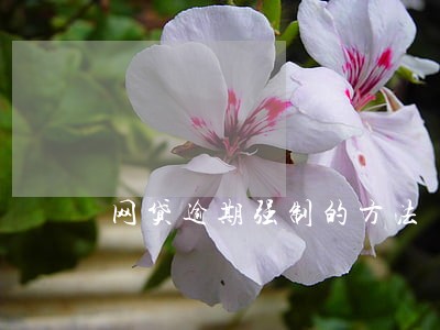 网贷逾期强制的方法 网贷逾期强制的方法