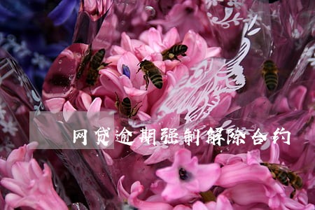 网贷逾期强制解除合约 网贷逾期强制解除合约