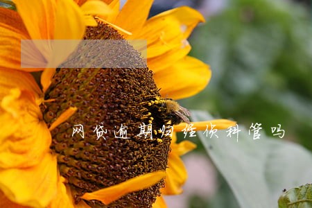 网贷逾期归经侦科管吗 网贷逾期归经侦科管吗