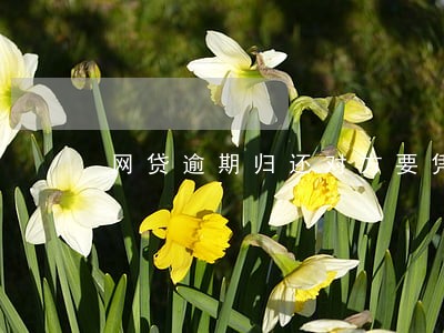网贷逾期归还对方要凭证 网贷逾期归还对方要凭证