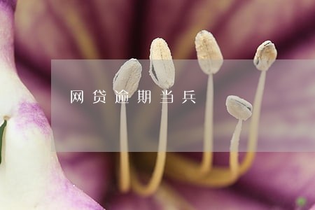 网贷逾期当兵 网贷逾期当兵