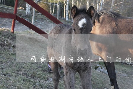 网贷逾期当地人上门讨债 网贷逾期当地人上门讨债