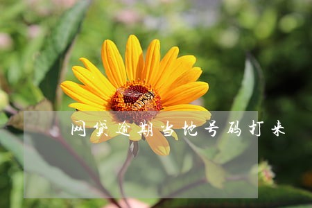 网贷逾期当地号码打来 网贷逾期当地号码打来