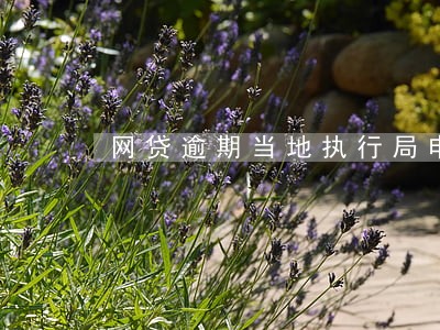 网贷逾期当地执行局申请强制执行