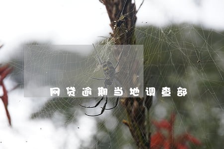 网贷逾期当地调查部 网贷逾期当地调查部