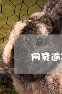 网贷逾期当天就可以查征信 网贷逾期当天就可以查征信