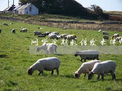 网贷逾期彩信发来律师函 网贷逾期彩信发来律师函