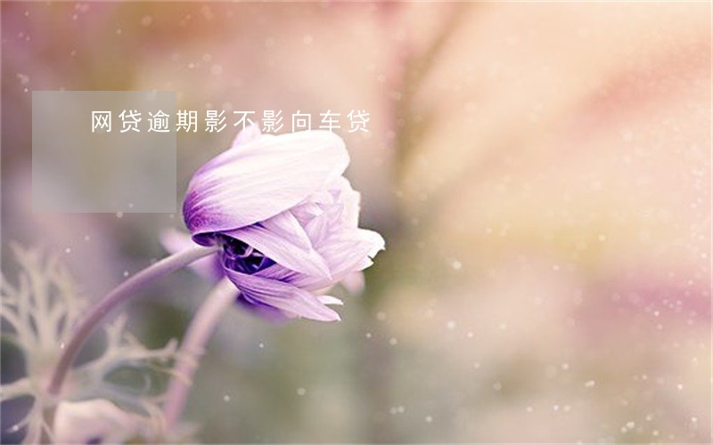 网贷逾期影不影向车贷 网贷逾期影不影向车贷