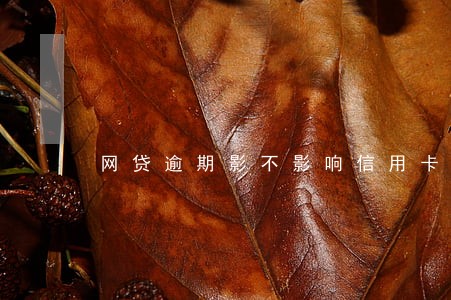 网贷逾期影不影响信用卡使用 网贷逾期影不影响信用卡使用
