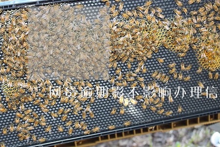 网贷逾期影不影响办理信用卡 网贷逾期影不影响办理信用卡