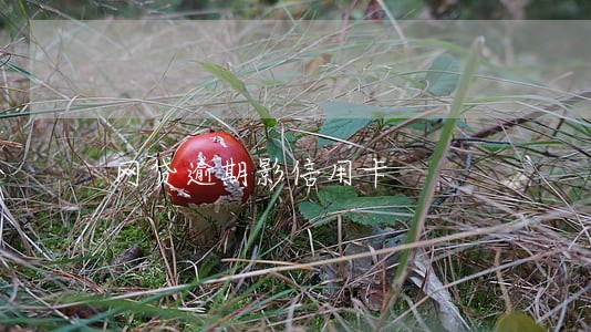 网贷逾期影信用卡 网贷逾期影信用卡