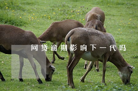 网贷逾期影响下一代吗 网贷逾期影响下一代吗