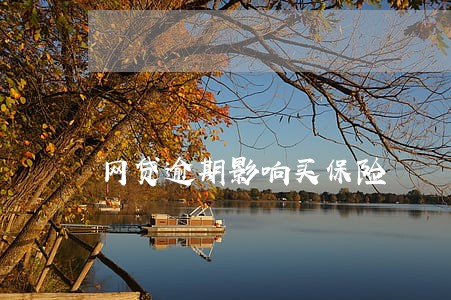 网贷逾期影响买保险 网贷逾期影响买保险