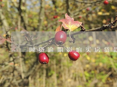 网贷逾期影响买房贷款吗 网贷逾期影响买房贷款吗
