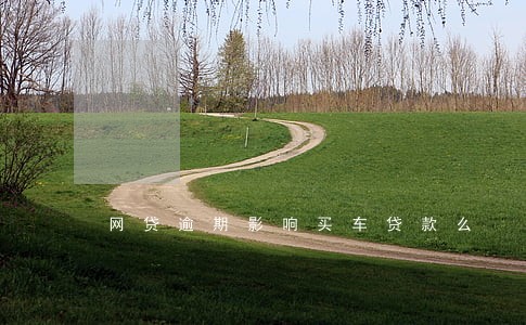 网贷逾期影响买车贷款么 网贷逾期影响买车贷款么