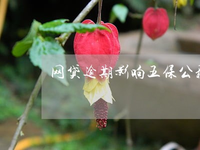 网贷逾期影响五保公积金吗 网贷逾期影响五保公积金吗