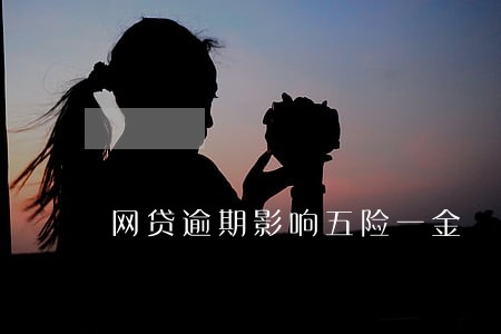 网贷逾期影响五险一金 网贷逾期影响五险一金