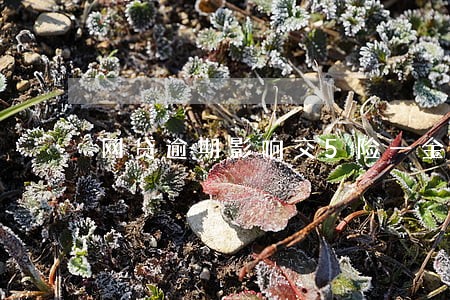 网贷逾期影响交5险一金吗 网贷逾期影响交5险一金吗