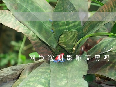 网贷逾期影响交房吗 网贷逾期影响交房吗