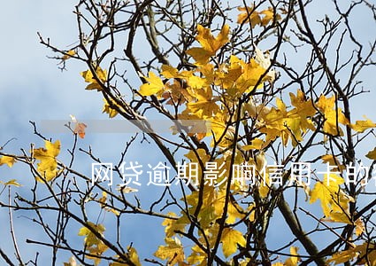 网贷逾期影响信用卡的额度吗 网贷逾期影响信用卡的额度吗