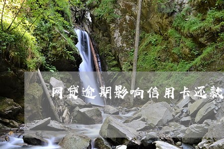 网贷逾期影响信用卡还款吗 网贷逾期影响信用卡还款吗
