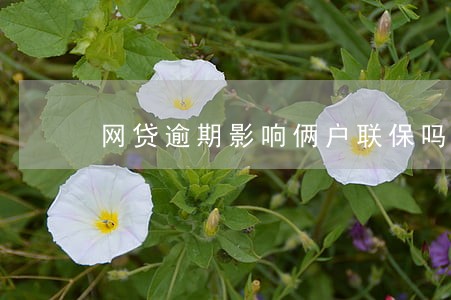 网贷逾期影响俩户联保吗 网贷逾期影响俩户联保吗