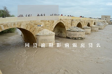 网贷逾期影响做房贷么 网贷逾期影响做房贷么