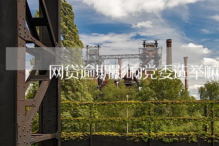 网贷逾期影响党委选举嘛 网贷逾期影响党委选举嘛