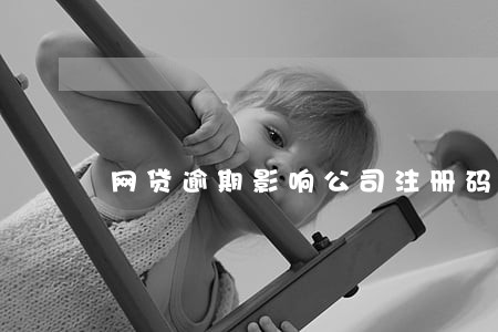 网贷逾期影响公司注册码