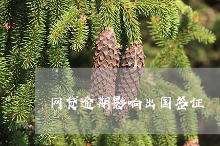 网贷逾期影响出国签证 网贷逾期影响出国签证