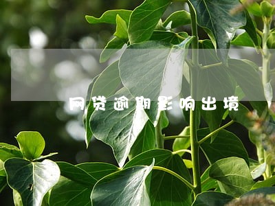 网贷逾期影响出境