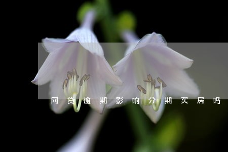 网贷逾期影响分期买房吗 网贷逾期影响分期买房吗