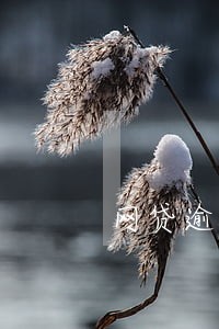 网贷逾期影响分期买车不 网贷逾期影响分期买车不