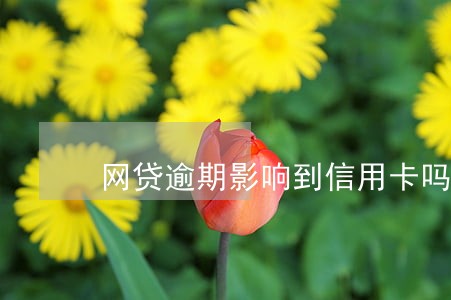 网贷逾期影响到信用卡吗 网贷逾期影响到信用卡吗