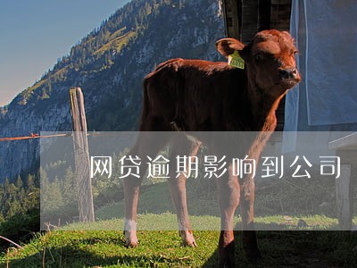 网贷逾期影响到公司 网贷逾期影响到公司