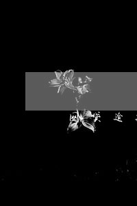 网贷逾期影响办信用卡吗 网贷逾期影响办信用卡吗