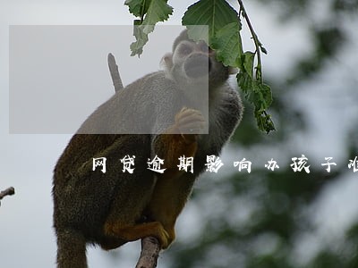 网贷逾期影响办孩子准生证吗 网贷逾期影响办孩子准生证吗