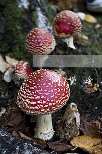 网贷逾期影响办居住证 网贷逾期影响办居住证
