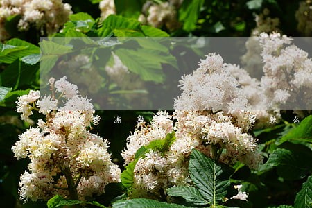 网贷逾期影响助学贷款么 网贷逾期影响助学贷款么