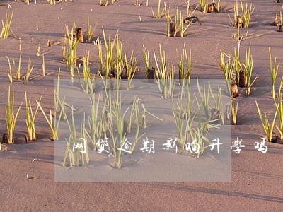 网贷逾期影响升学吗 网贷逾期影响升学吗