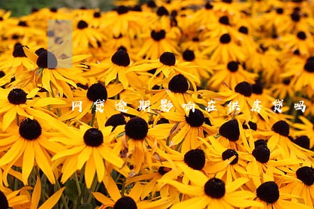 网贷逾期影响在供房贷吗 网贷逾期影响在供房贷吗